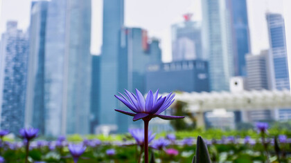 Our global future: we hope that futurists can shift to visions of alternative, viable, often overlooked possibilities