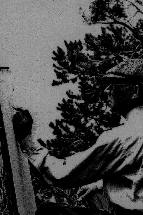 Gunnar Widforss en California