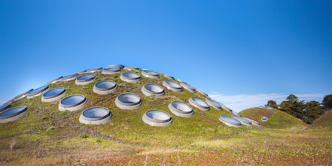 Living Roof. Courtesy of California Academy of Sciences