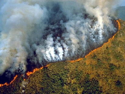 Amazzonia in fiamme
