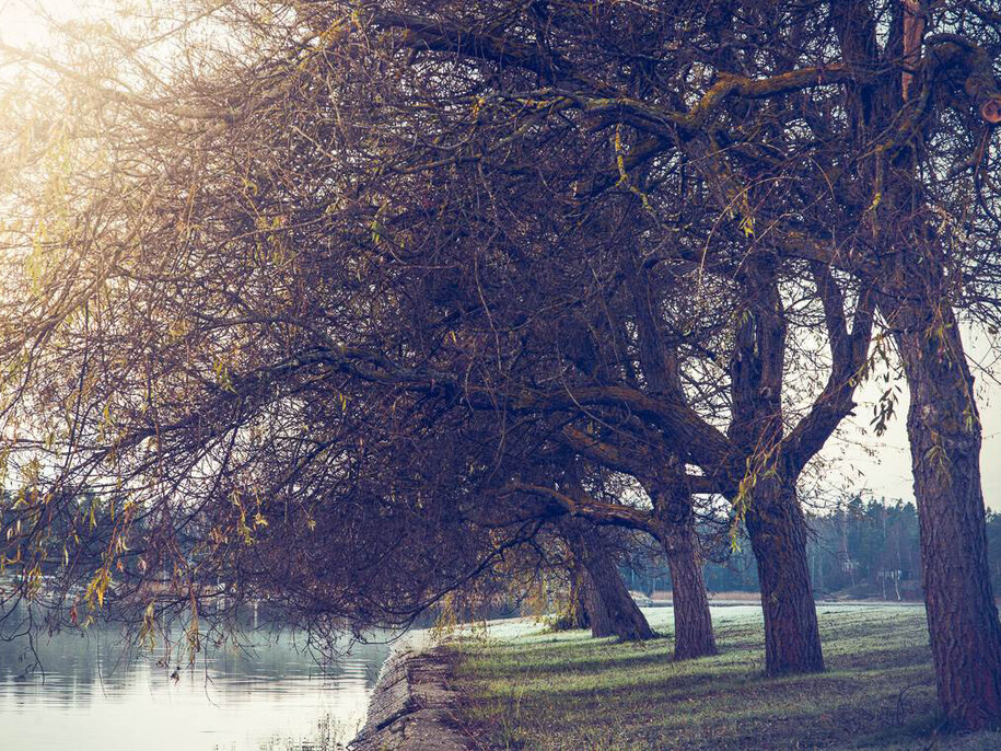 Mikael Ackelman, Line, Photograph on Hahnemühle Paper, 26" x 39.5"