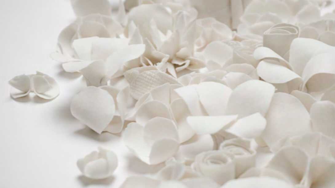 Valeria Nascimento. Courtesy of Woolff Gallery