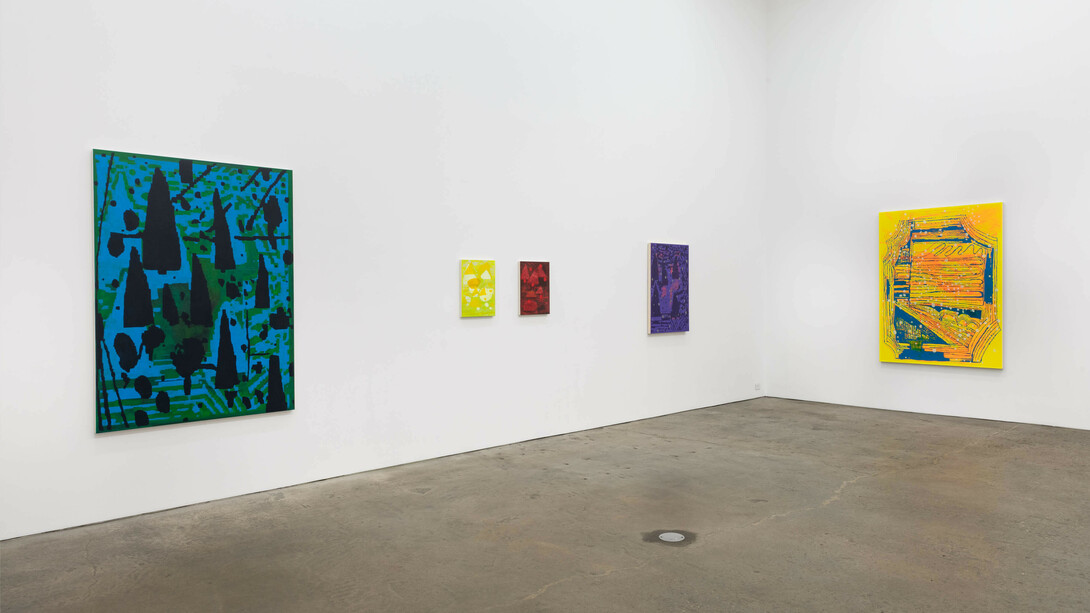 Installation view, EJ Hauser, Grow Room, 2024. Courtesy of Derek Eller Gallery