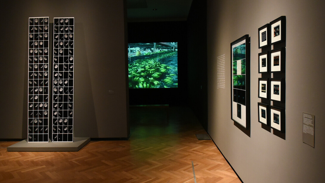Leandro Katz, The night and the words, exhibition view. Courtesy of Museo Nacional de Bellas Artes