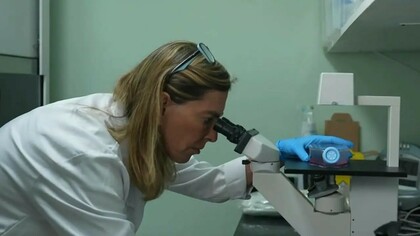 Tatiana Coelho de Sampaio. Criada a partir de proteínas extraídas da placenta humana, a polilaminina pode ser aplicada diretamente na área lesionada da medula espinhal, promovendo a regeneração dos circuitos nervosos e a recuperação das funções motoras anteriormente comprometidas