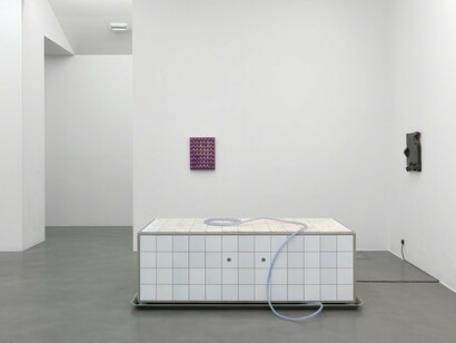 Mai-Thu Perret. Zone, Exhibition view. Courtesy of Simon Lee Gallery 