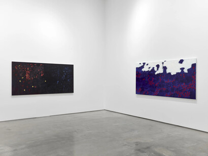 Allison Janae Hamilton, Celestine, exhibition view. Courtesy of Marianne Boesky Gallery
