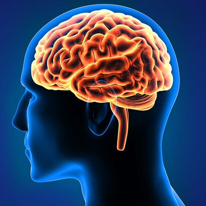 We propose the genotype information carriers in neuroimaging and dynamical brain maps source localization