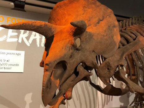 The Last American Dinosaurs. Courtesy of Smithsonian's National Museum of Natural History