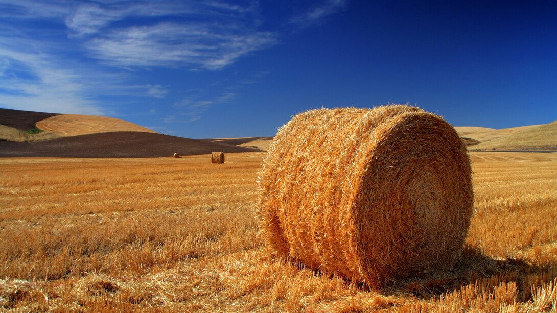 Vita in campagna