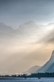 Solstice Light