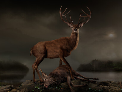 Joseph McGlennon, Skyestag 3