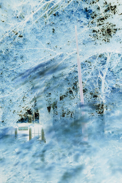 Dust of Angels. Courtesy of Rosegallery