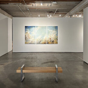 Michael Schultheis, The flowers of Fibonacci, exhibition view. Courtesy of Winston Wächter Fine Art Gallery