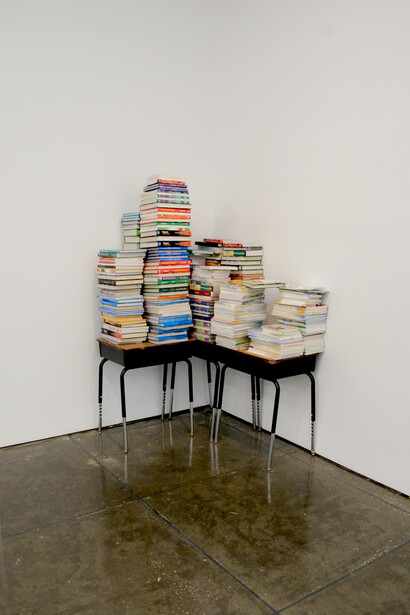 Li Hongbo, Installation view of  Speechless  series