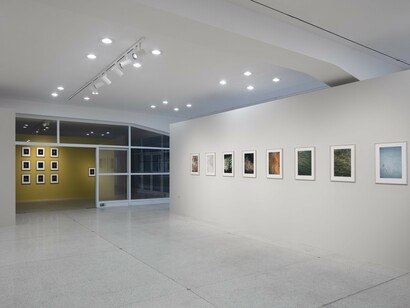 Installation in NGP