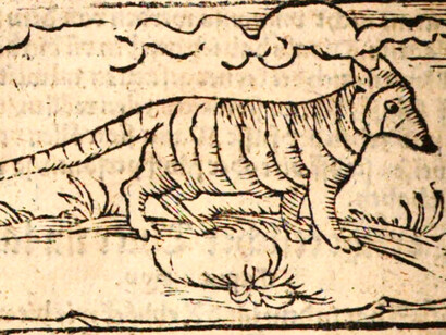 Gravura da primeira edição do livro de viagens ao Brasil, título original Warhaftige Historia, de Hans Staden, publicado em 1557
