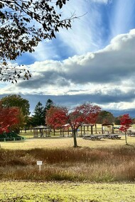 Vast meadows of Koiwai Farm © Alma Reyes