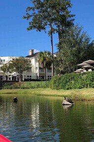 The soothing view of Palmetto Bluff. Photo by Jamie Edwards