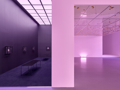 Loris Gréaud. Courtesy of Galerie Max Hetzler