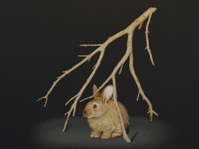 Isabelle du Toit, Shelter, 2026. Courtesy of Cris Worley Fine Arts