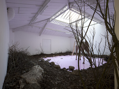 Petrit Halilaj, Yes but the sea is attached to the earth and it never floats around in space. The stars would turn off and what about my planet?, 2014, Installation. Techniques mixtes (terre, branches, feuilles mortes, pierres, savon), Dimensions variables, Vue de l'exposition « Yes but the sea is attached to the earth and it never floats around in space. The stars would turn off and what about my planet? », Kamel Mennour, Paris, 2014, © Petrit Halilaj, Photo: Fabrice Seixas, Courtesy the artist and Kamel Mennour, Paris