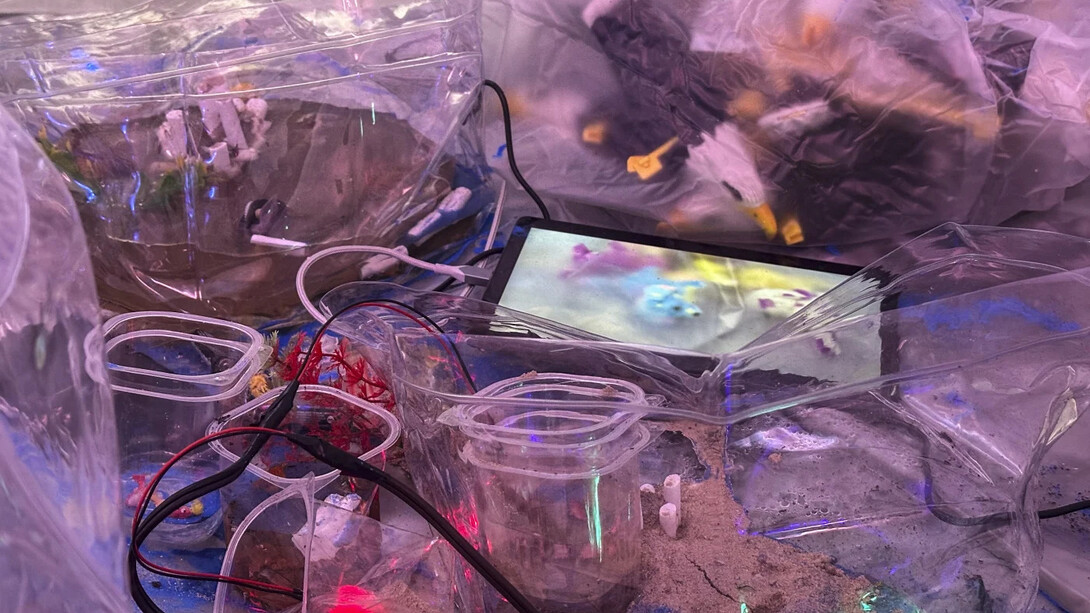 Kerem Ozan Bayraktar, Spirits on the ground, exhibition view. Courtesy of Sanatorium