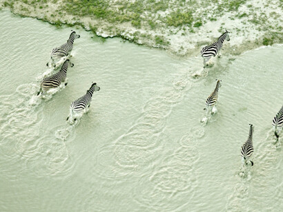 Zack Seckler. Courtesy of ClampArt