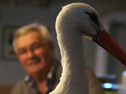 Una scena del film Storkman