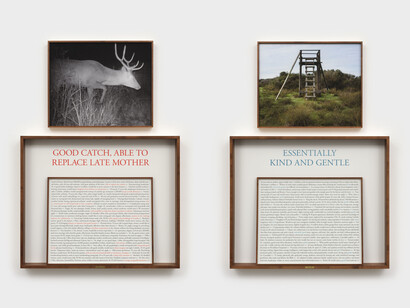 Sophie Calle, On the hunt, 1950–1960 (Good
catch, able to replace late mother / Essentially kind and gentle), 2024. Courtesy of Paula Cooper Gallery