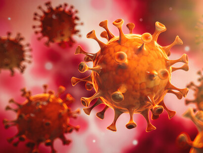 Para establecer la inmunidad colectiva, todos los adultos deben vacunarse primero