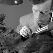 Find in Focus. Courtesy of The Vasa Museum 