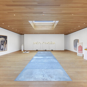 Third Dimension. Courtesy of Brant Foundation