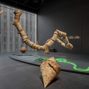 Nour Mobarak, Dafne phono, exhibition view. Courtesy of MoMA