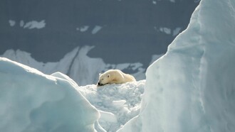 Rapidly rising Arctic temperatures will soon affect the remainder of the world