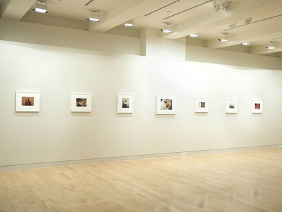 Stephen Shore. Courtesy of Edwynn Houk Gallery