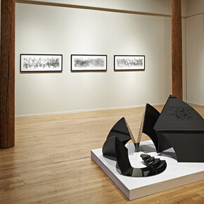 Expanding the Line: Drawing, Video, and Sculpture. Courtesy of Cecilia de Torres, Ltd.