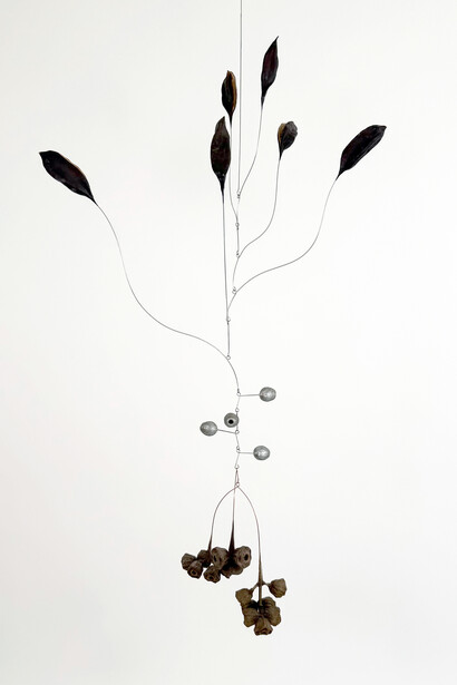Karolina Maszkiewicz, The weight of light (detail), 2026. Courtesy of Jane Lombard Gallery