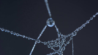 De la complexité des relations dans et en dehors de la sphère familiale