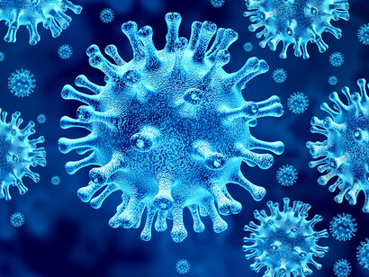 Las noticias se han centrado en el último año en ir comentando sobre la evolución de la COVID-19 y luego de las vacunas, así como sobre los grupos de riesgo