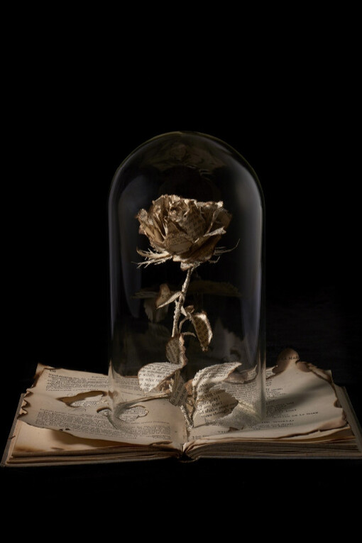 Folk Tales Forests and the Sea. Courtesy of Long & Ryle Gallery