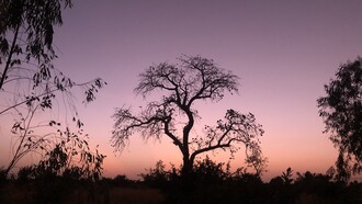 Malgré les défis, la décentralisation représente une opportunité unique pour le Mali de construire un modèle de gouvernance participatif et inclusif