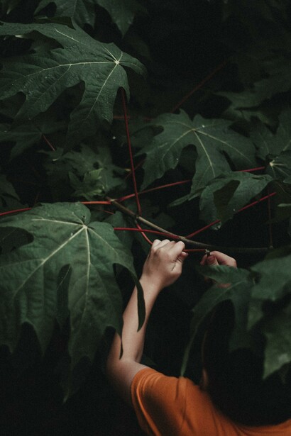 Vivere il qui ed ora è fondamentale per il benessere personale