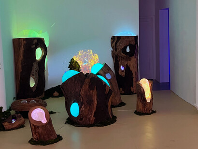 Katja Loher, Why Do The Waves Repeat the Questions I Ask Them? The Plankton Manifesto, installation at LatchKey Gallery. Courtesy the artist and LatchKey Gallery, NYC