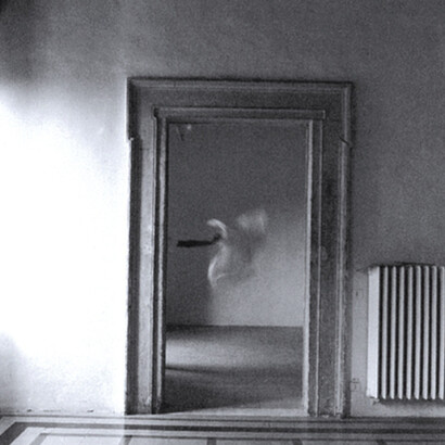 "Viola di morte", Tommaso Landolfi, Adelphi, (1972), immagine di copertina
