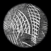 Mario Cresci, dalla serie Rivelati, Roma 2010-Bergamo 2020