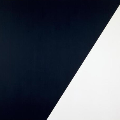 Ellsworth Kelly. Courtesy of Centre Pompidou