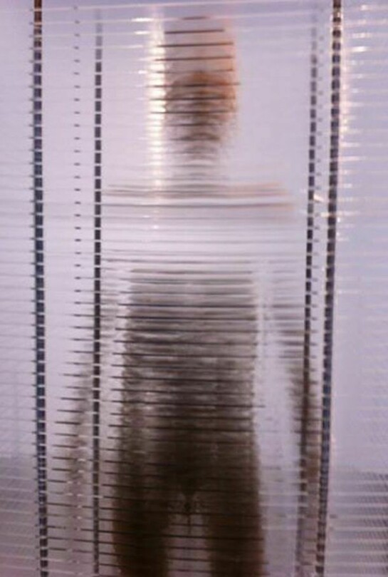 Marilene Oliver, Family Portrait, 2003, screen prints on clear acrylic bronze rods, 192 x 70 x 50 cm