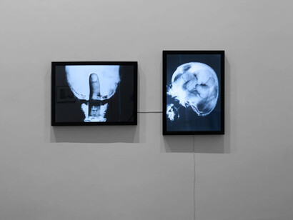 Valie Export and Ketty La Rocca, Body sign, exhibition view. Courtesy of Thaddaeus Ropac Gallery