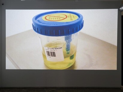 Health Show II. Courtesy of A.I.R. Gallery